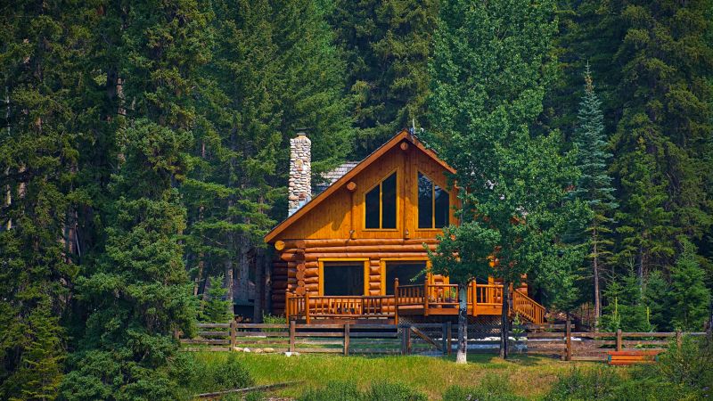 Wood Cabin Staging