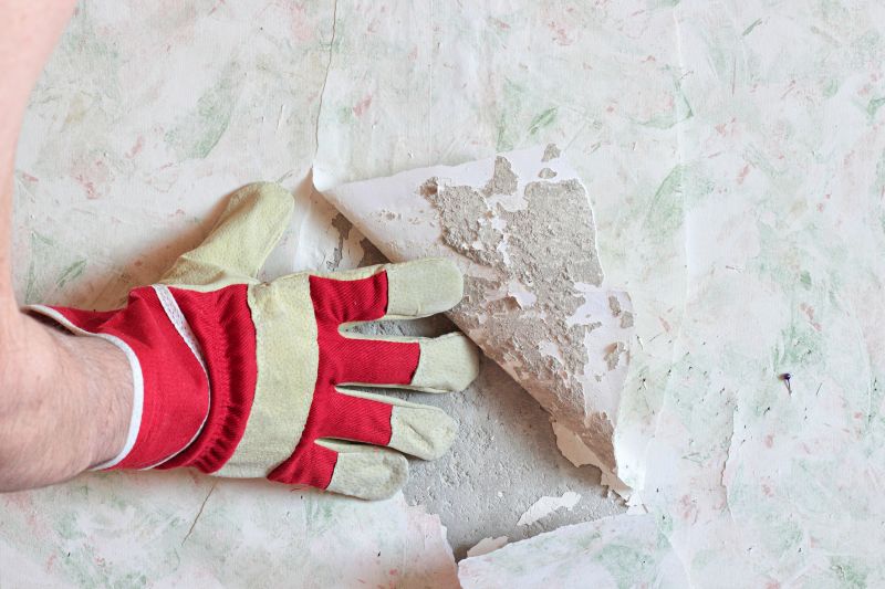 Wallpaper Removal Service in Denver County, CO