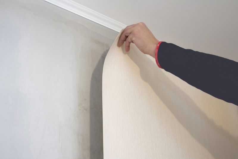 Wallpaper Restoration in Denver County, CO